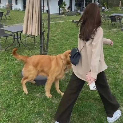 布拉格间奏曲